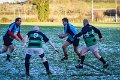 Monaghan Legends V Perennials (1)